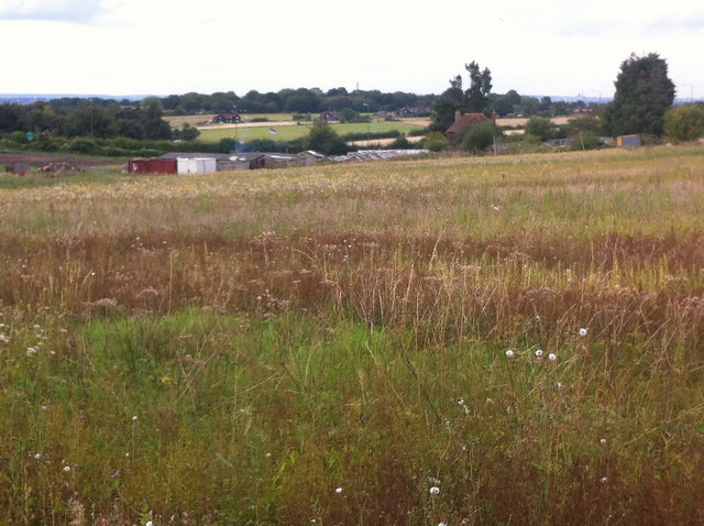 Back to the land houses