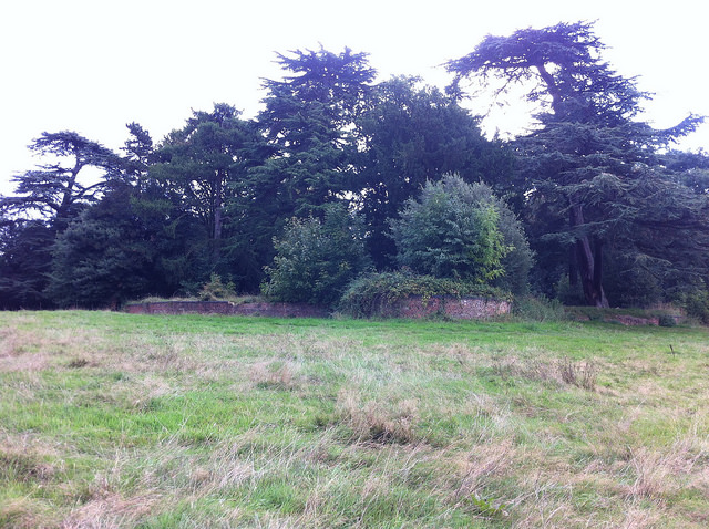 Banqueting Hall (II)