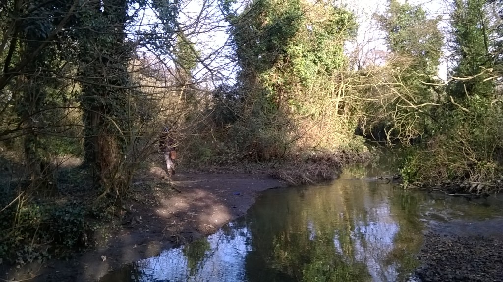 WP_20150111_11_50_39_Pro