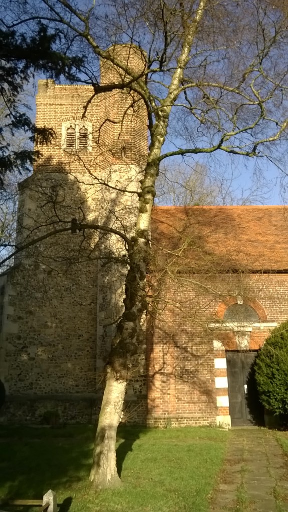 WP_20150111_12_09_29_Pro