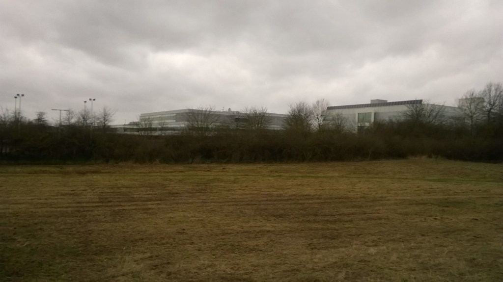 WP_20150111_14_37_52_Pro