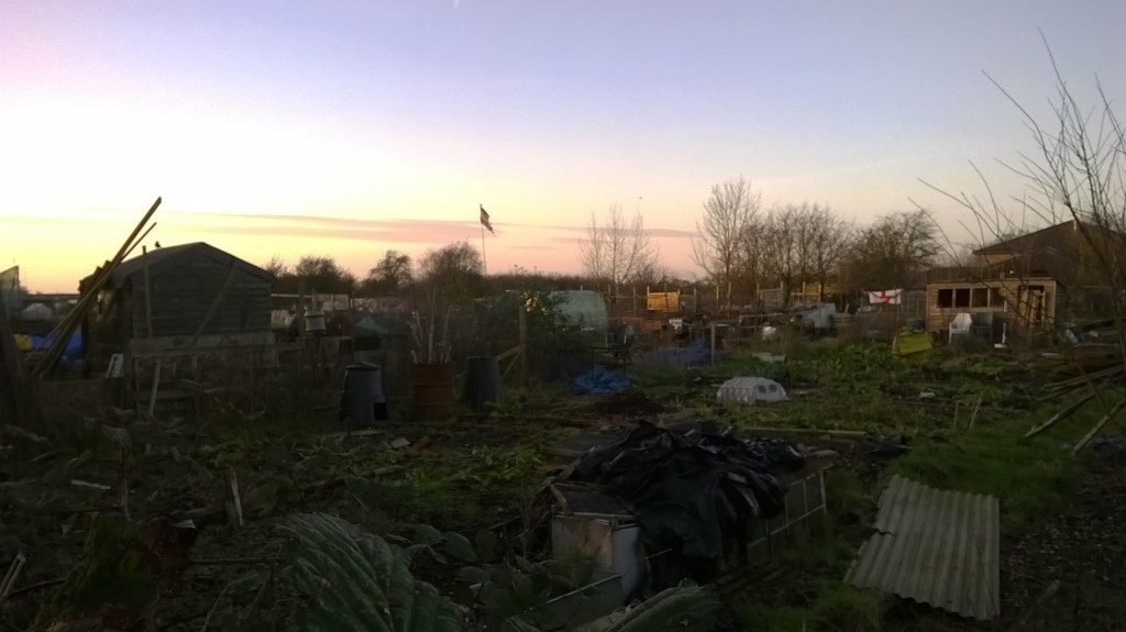 Melancholic allotments II