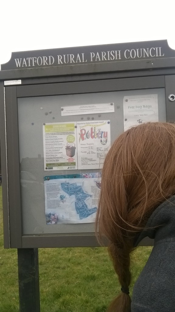 WP_20150315_11_59_50_Pro