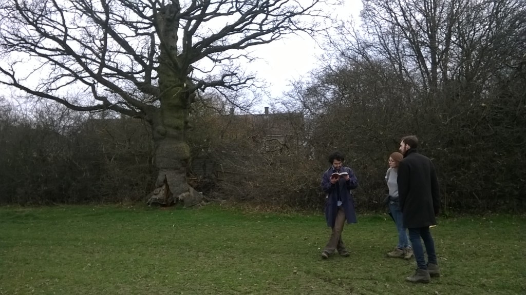 WP_20150315_12_54_39_Pro