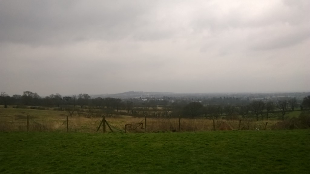 WP_20150315_14_48_27_Pro 1