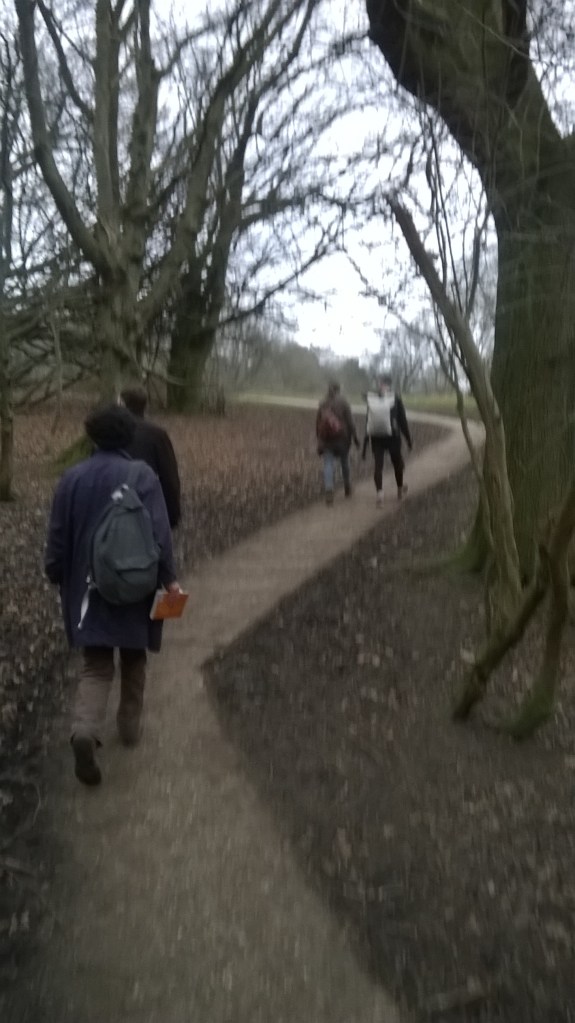 WP_20150315_17_02_11_Pro