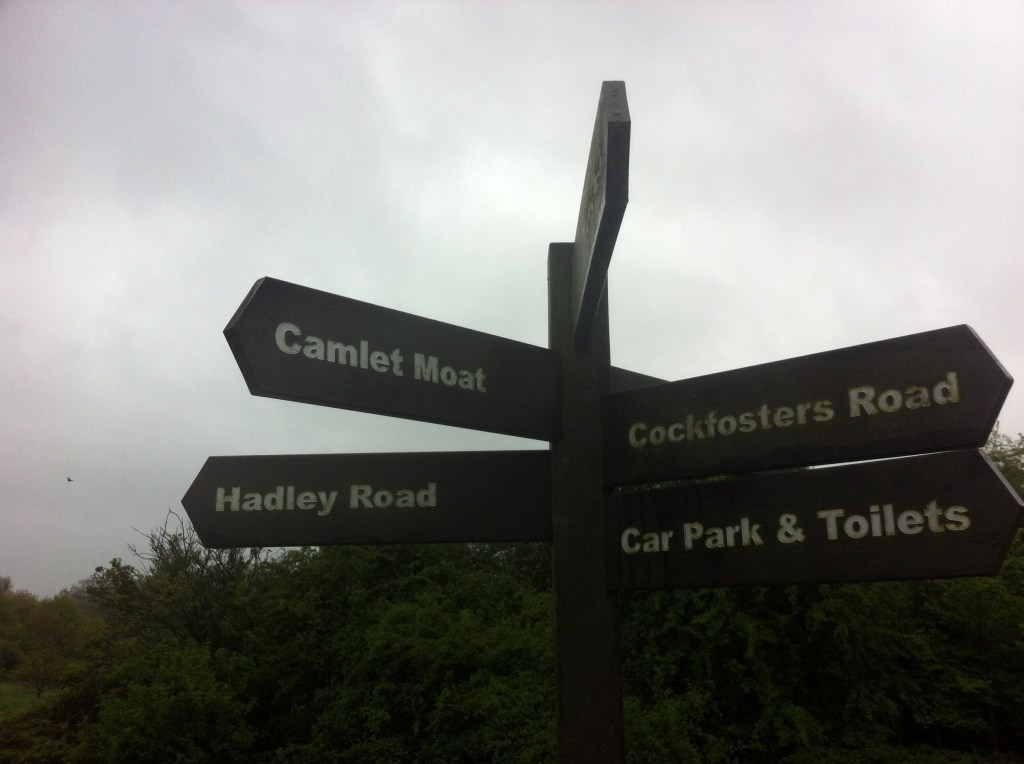 Choices (the way to Camlet)