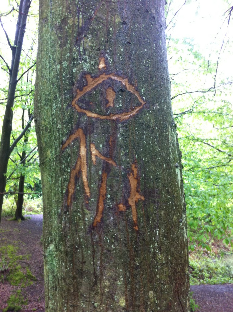 This one was probably on balance the most troubling