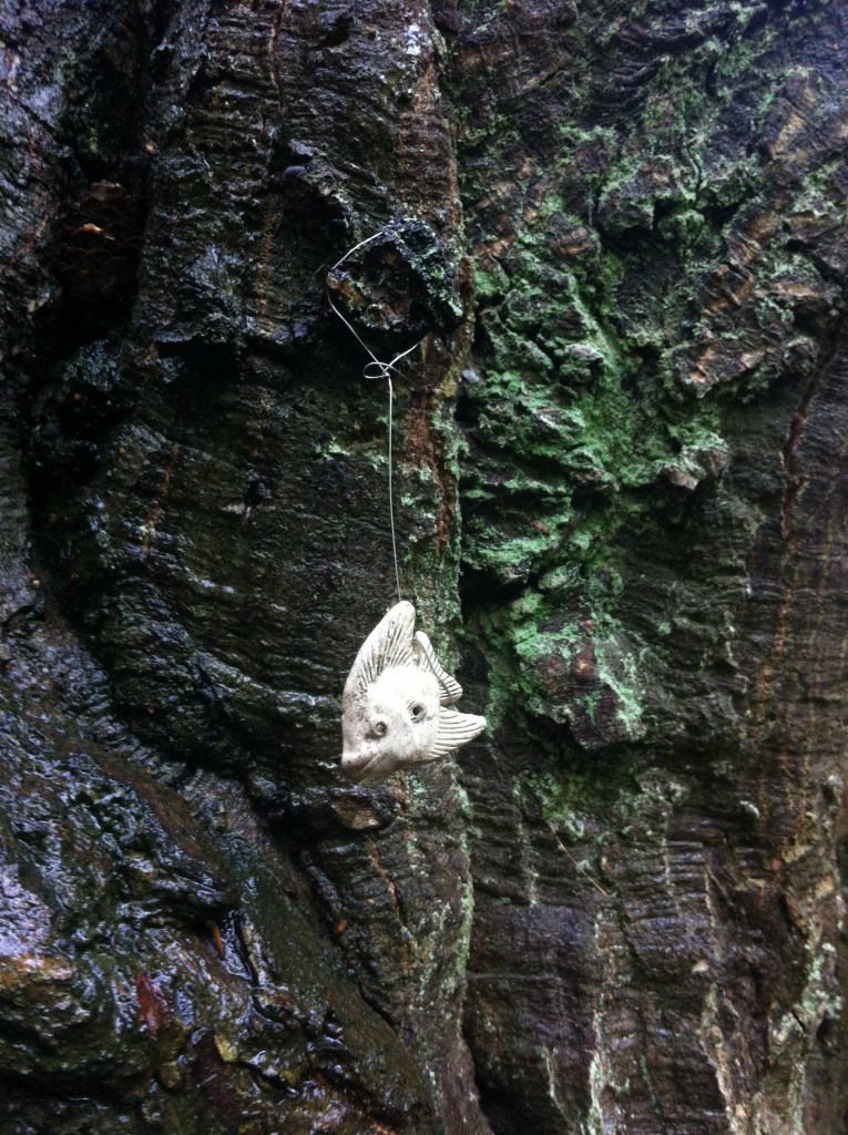 Fishy business in Camlet