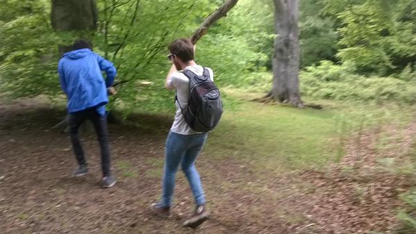 in media res -- forest conflict