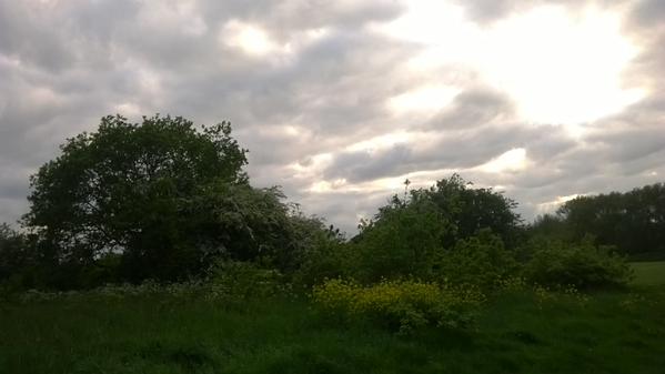 Hainault Country Park