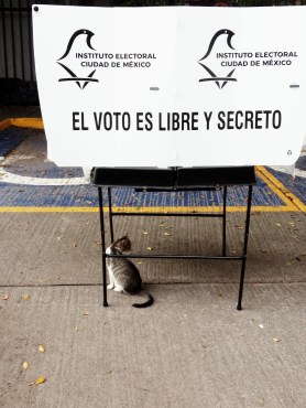 img_20190128_124442_574