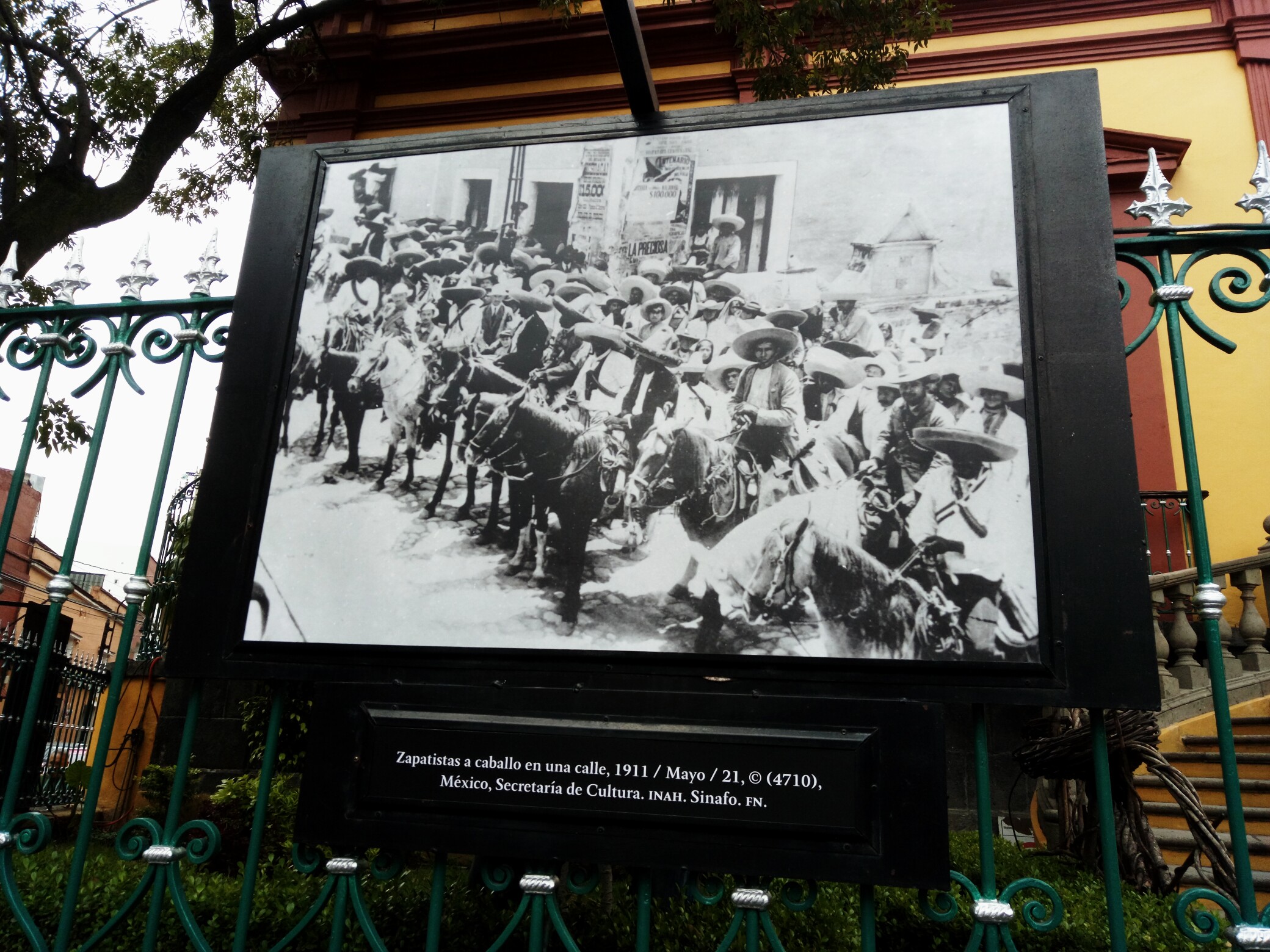 IMG_20190629_084443_073